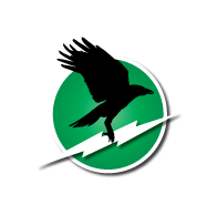 Ravenswood Electric